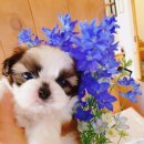 소향로55-15 이미지