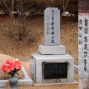 양지바른 이미지