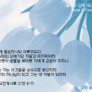 알파와오메가 이미지