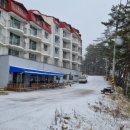 숲사이길펜션 이미지