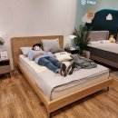 수원-0892 | 시몬스 N32 폼 매트리스 롯데백화점 수원점 추천~