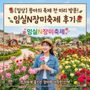 임실푸드 | 축제 전 미리 다녀온 임실N장미축제 후기🌹(개화율 60% 정도)