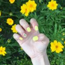 네일앤쇼 이미지