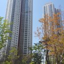 야탑119안전센터 이미지