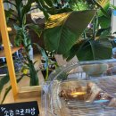 도그 인 포레스트 | 애견동반 가능한 분위기 맛집 투명돔텐트 카페 내돈내산 후기(feat.크림딸기라떼, 실내 애견동반 가능)