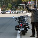 로시난테 이미지