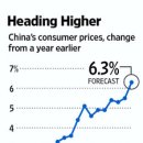 China Price Watchers Predict Another Peak-wsj 7/9 : 중국 경제지표 통계의 불확실성과 인플레이션 예측 이미지