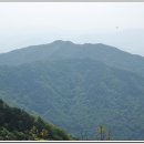 재삼농장 이미지