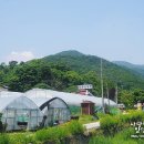 푸른숲농원