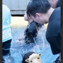 시현목장 이미지