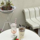 거북이만두 이미지