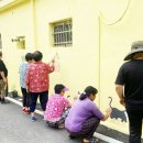 곡성-161 이미지