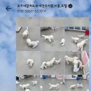 맡겨보개 이미지