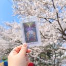 제주 영 아티스트 콘서트 | 박효신 LIVE A&amp;E 2026 콘서트 인천문학경기장 W1 시야, MD, 셋리스트 후기 첫콘 총정리