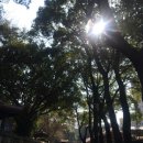 천우화원 이미지