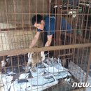 용재농장 이미지