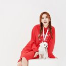 길은혜 카카오 검색결과