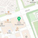 꽃단장하개