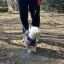 소미치과의원 이미지