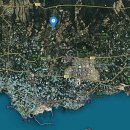 강정동-31 이미지