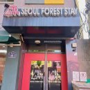 지브로홍대 | 서울 강북 1인 숙소 게스트하우스 숙박 후기 : 홍대/상수 지브로 S 게스트하우스(여성 전용), 성수 서울...