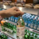 천안 홈플러스 신상 술 새로 살구맛 후기