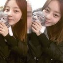 러블리뽀뽀 이미지