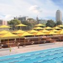 시드니(1) 이미지