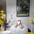 세종시 백일잔치 완벽정리 세종백일잔치장소 백일떡 카메라대여 백일상대여