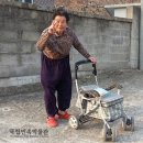 용호리경로당 이미지