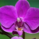 농협사거리 이미지