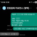삼남로 | 테슬라 모델Y 틴팅 및 인도후기(26년1월 계약/보조금O)
