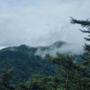 백아산펜션 | [전남 여행] 숲속의 감성 숙소, 화순 백아산 자연휴양림 트리하우스 비 오는 날 1박 2일 완벽 힐링 후기!