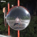 지영약국 | ˖⁺‧₊˚2025년 7월 셋째 주 일상♡˚₊‧⁺˖