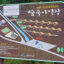 성불산자연휴양림 캠핑장 이미지