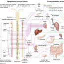 바로편안성모의원 이미지