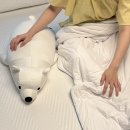 필라케미칼 | (공구종료) 여름 시원하게 보내는 법 아추추 냉감패드 이불 바디필로우까지 특가로!