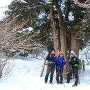 [2012-02-06 번개] 운두령 - 계방산 - 주묵군락지 - 자동차야영장 - 아랫삼거리(2) 이미지