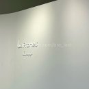 라프시스템 | 대전 세종 드레스 라프로메스 피팅 및 계약 후기