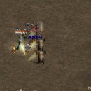 헤르시나 이미지