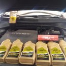 프로브모터스 이미지