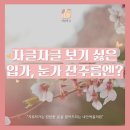 안에;봄