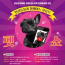 아트빌리지 이미지