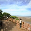 드라이브 이미지