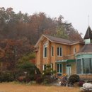 맹골농원 이미지