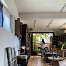 프로퍼밀도 이미지