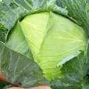 소망2농장 이미지