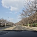 장보고횟집 | 장보고 횟집 푸짐한 회 한상 맛집 방문 후기 회. 회무침 매운탕까지 제대로 먹고 온 날