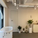 오송애견 이미지