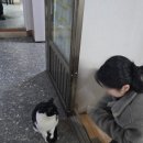 한옥마을] / 현지인들이 웨이팅하는 공주 로컬맛집 [곰골식당] 내돈내산(+생선구이, 참숯석쇠한판 후기)